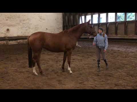 Glory Fire von Alter Fritz - Saint Cyr