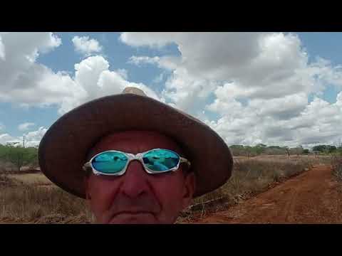 Greetings from state of Paraiba, town Parari Day 33 Brasil 🇧🇷