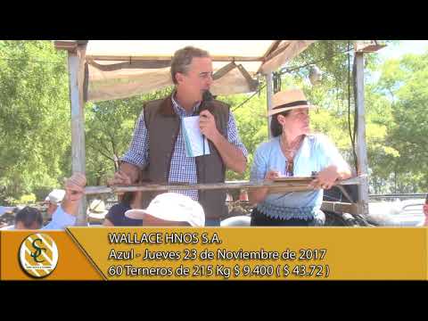 23-11-17 Venta de Machos - Wallace Hnos. S.A. - Azul