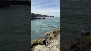 Noyo Harbor Area and Beach, Fort Bragg California