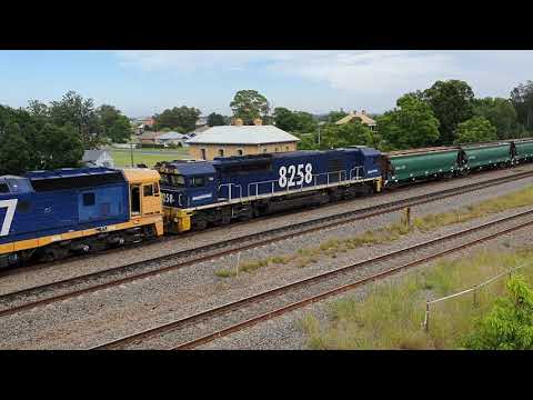 Grain train. Maitland. NSW Australia