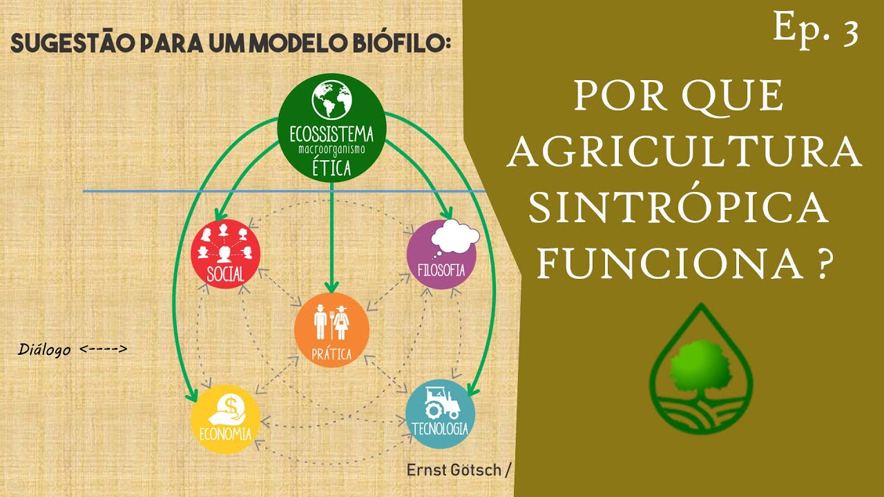 Episódio 3 - Por que a Agricultura Sintrópica funciona ?
