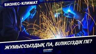 Жұмыссыздық па, біліксіздік пе?