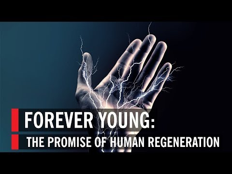Forever Young: The Promise of Human Regeneration