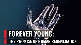 The Promise of Human Regeneration: Forever Young