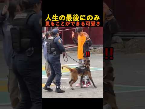 人生の最後にのみ見ることができる可愛さ