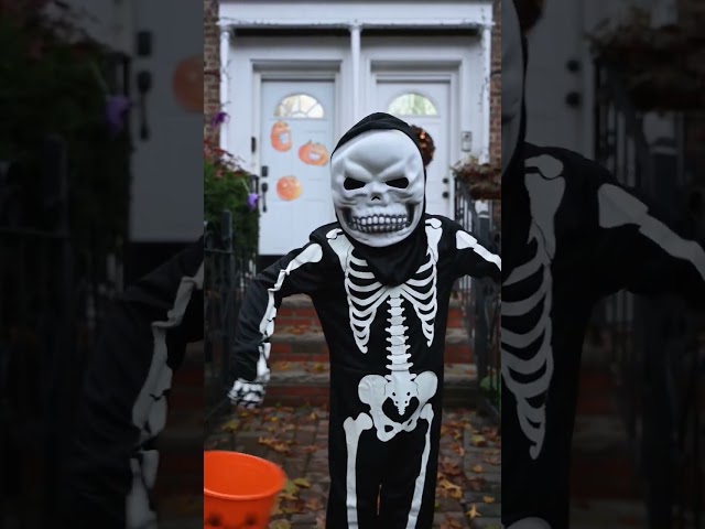Vídeo relacionado con Boland 73082 - Decoración calavera diablo, 20 cm, figura de decoración, calavera con cuernos, decoración, halloween decoración, decoración para fiestas