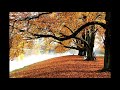 Autumn Leaves - Matt Monro