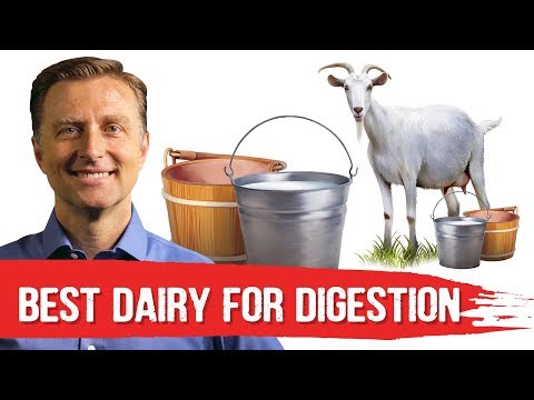Best Dairy To Avoid Digestive Stress (Lactose Intolerance) – Dr.Berg