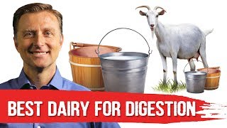 Best Dairy To Avoid Digestive Stress (Lactose Intolerance) – Dr.Berg