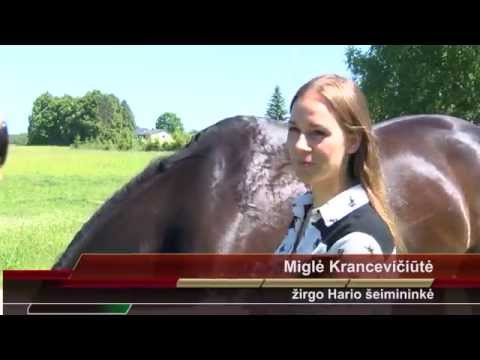 akcijų pasirinkimo sandorių registravimas