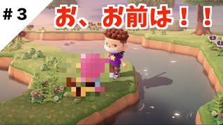 【あつ森】カブに手を出した男。そして住民厳選でまさかの奇跡が！！【どうぶつの森】＃３