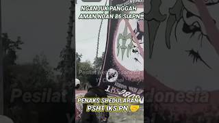 Download lagu Viral PSHT PN IKS Seduluran Gak Ras*s Nganjuk #psht #ikspi #pagarnusa mp3