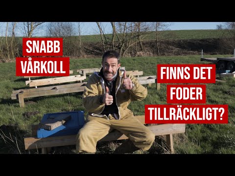 Första vårkollen 2020 i andelsbigården