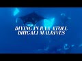 Scuba Diving at Dhigali Maldives, Raa Atoll, Euro-Divers Dhigali, Malediven