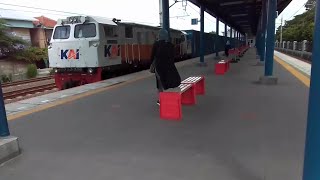 Download lagu Gito Rollies - Nona Lyrics mp3 Download lagu Gito Rollies - Nona Lyrics mp3