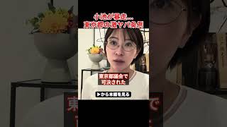 ※小池百合子の暴走...東京都の激ヤバ条例を暴露...【小池都知事/さとうさおり/都議会/カイロ大学/学歴詐称疑惑】