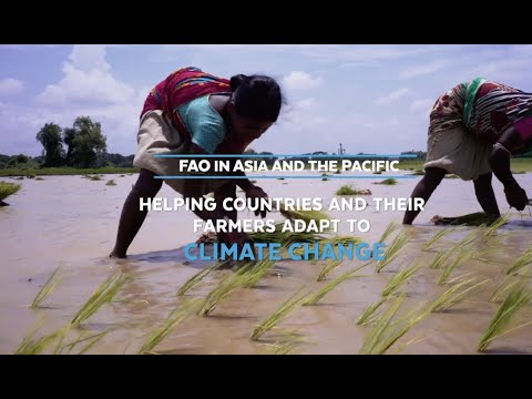 Helping farmers in India, Indonesia and Nepal thrive in a changing climate