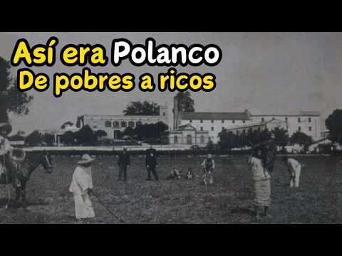 Los MILLONARIOS de Polanco: asi es la colonia mas exclusiva de Mexico