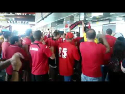 aficionados del mensajero epernando a los campeones que lleguen al aeropuerto mazo de la palma 2015