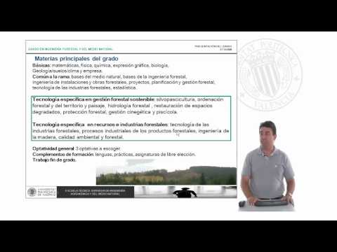Degree in Forestry and Natural Environment Engineering | 28/29 | UPV