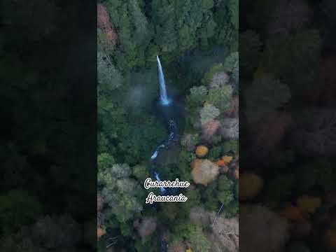Curarrehue, Araucanía #cascada #curarrehue