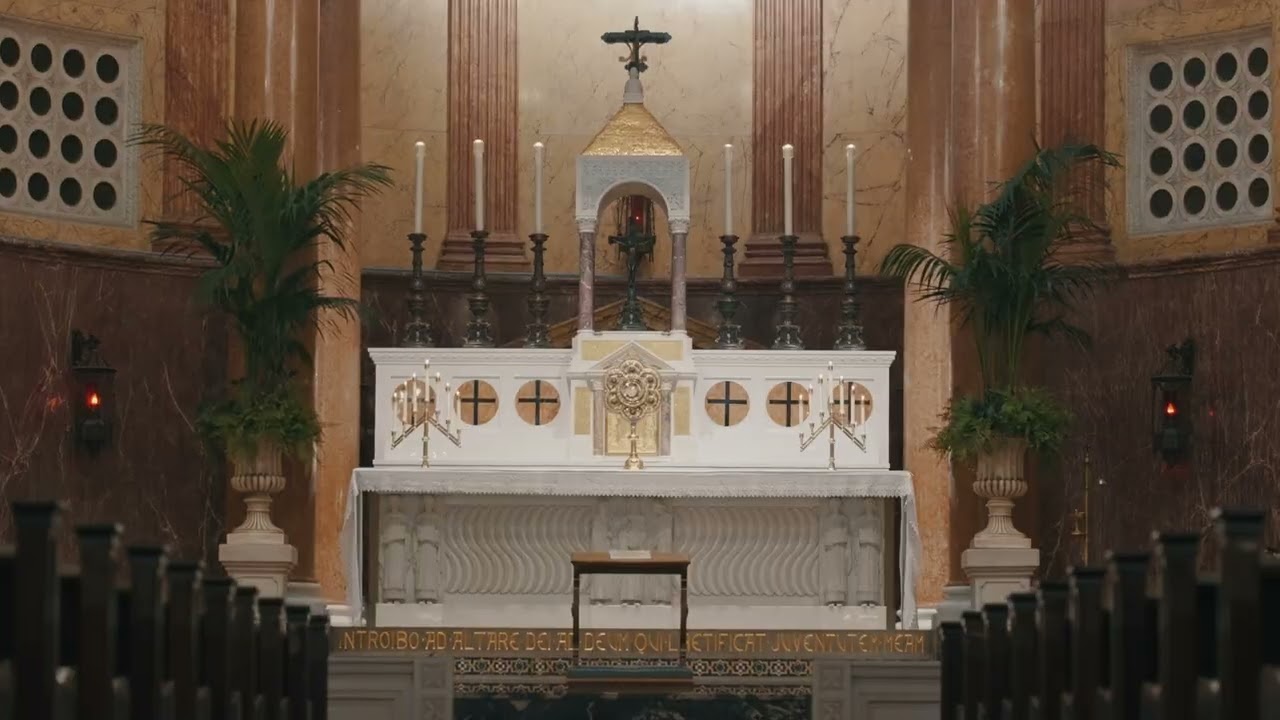 Come and See the Peace Jesus Offers