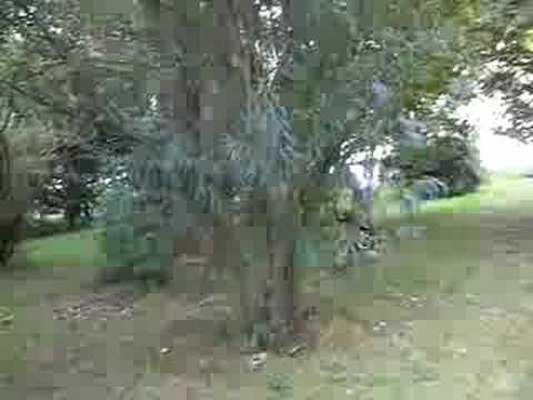 risstissen-bmx-baggersee