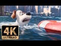 The Secret Life Of Pets 2016 Max Drowning Scene 5 10
