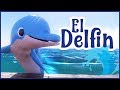 Mi Amigo El Delfín Canciones Para Niños Música Para Bebes