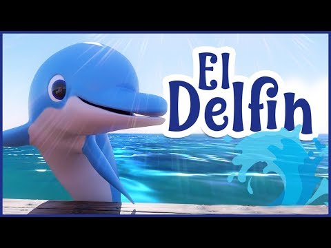 Delfin és az emberi látás. Emberi delfin látvány