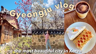 Trip to the MOST BEAUTIFUL CITY IN KOREA: Gyeongju vlog 🌸 cherry blossoms, aesthetic cafe & shop