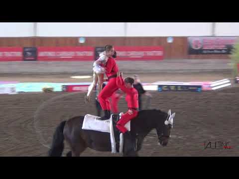 JUNIORTEAM GUNDELSHEIM (GER), cvi Portogruaro 2019