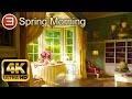 Spring Morning 3D Screensaver 4K Trailer