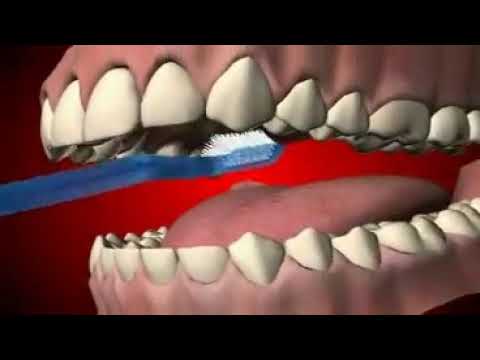 How to brushing teeht?