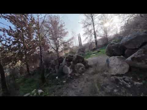 Park Canada 03/01/2026 mishmash