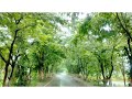 Mastana Mausam Hai Rangeen Nazara Aaj Se Janeman Dil Hai Tumhara Madhuban What S App Status