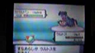 ラルトス ポケットモンスター クルミル デンジュモク ニドキング