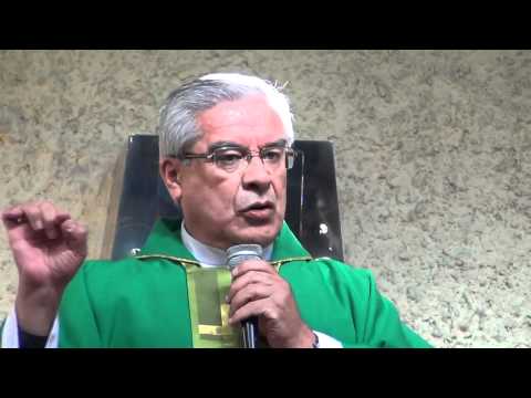 Homilía 18 Sep. 2011.  El Señor y los obreros de la viña. La Bondad y la envidia.