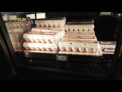 VOA EGGFLATION KEMBALI MENEKAN RESTORAN DAN TOKO ROTI UMKM