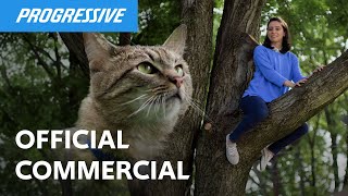 Progressive Firefighters seek to lower a woman up a tree