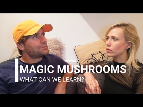 Psychedelic Experience: Can Taking Mushrooms Make You a Better Person?