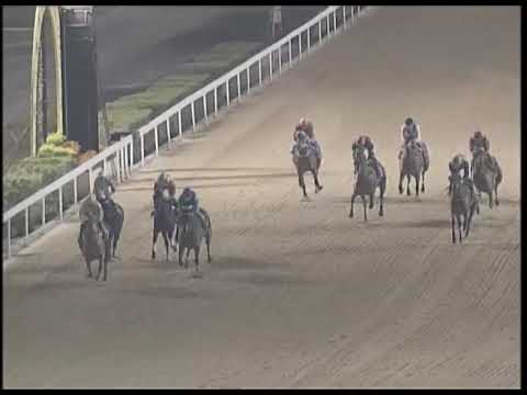 2019-01-25 Race 4(0136) - THE KEMPTON