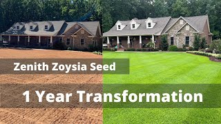Zoysia Seed or Sod // Lawn Renovation Results // First Year Expectations