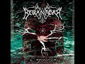 Borknagar - The View Of Everlast