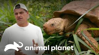 Thumbnail del capítulo