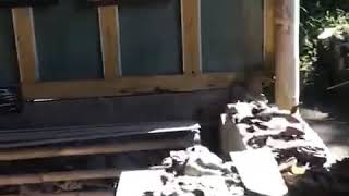 Download lagu CLARA GOPA GUNUNG MERAPI mp3