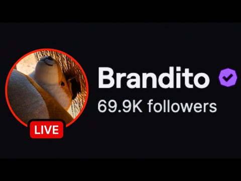 The Rise and Fall of Brandito
