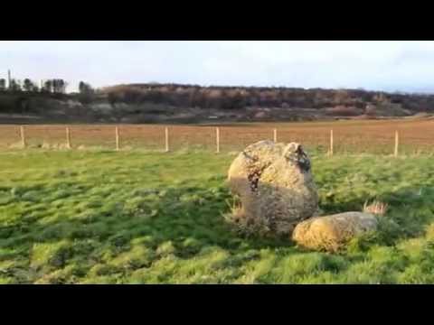 Free the Sellafield Deer