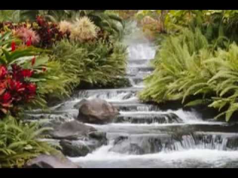 la gloria de Dios (LETRA)- Noemi Luz